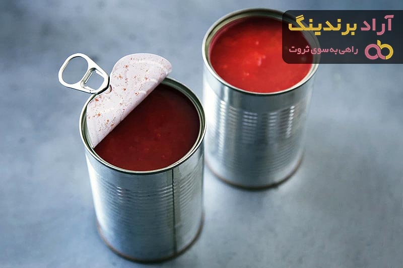 Tomato Paste Canned 