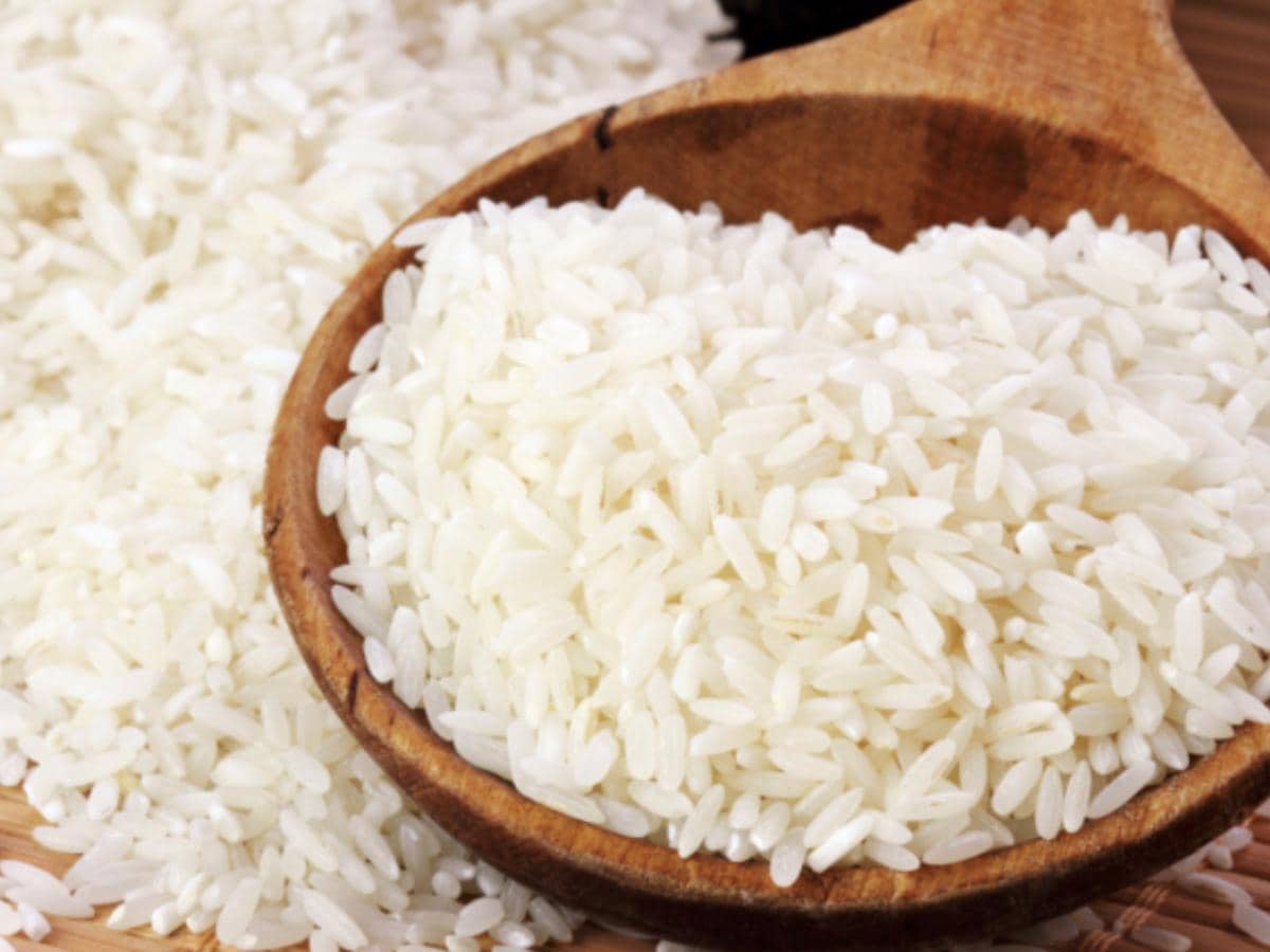 قیمت برنج ایرانی هاشمی