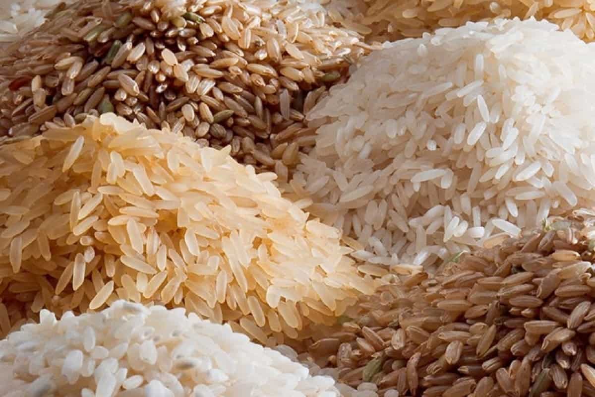 برنج تایلندی بازرگام