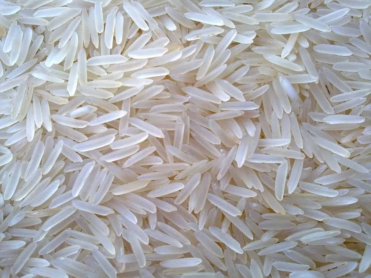 خرید برنج ایرانی هاشمی 