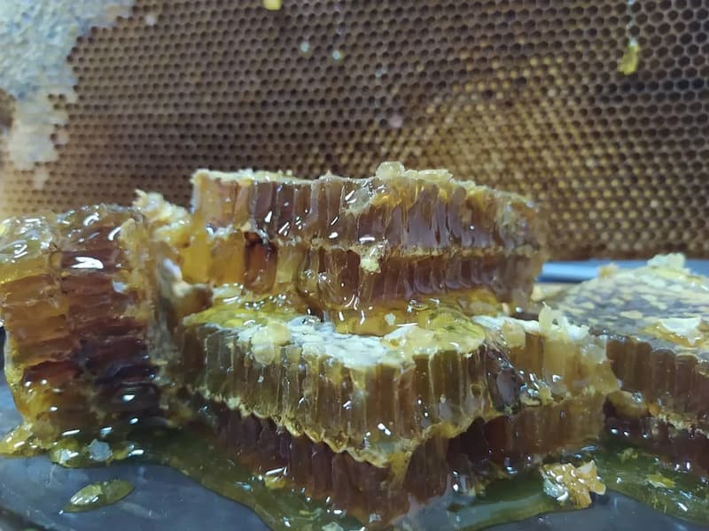عسل طبیعی صادراتی