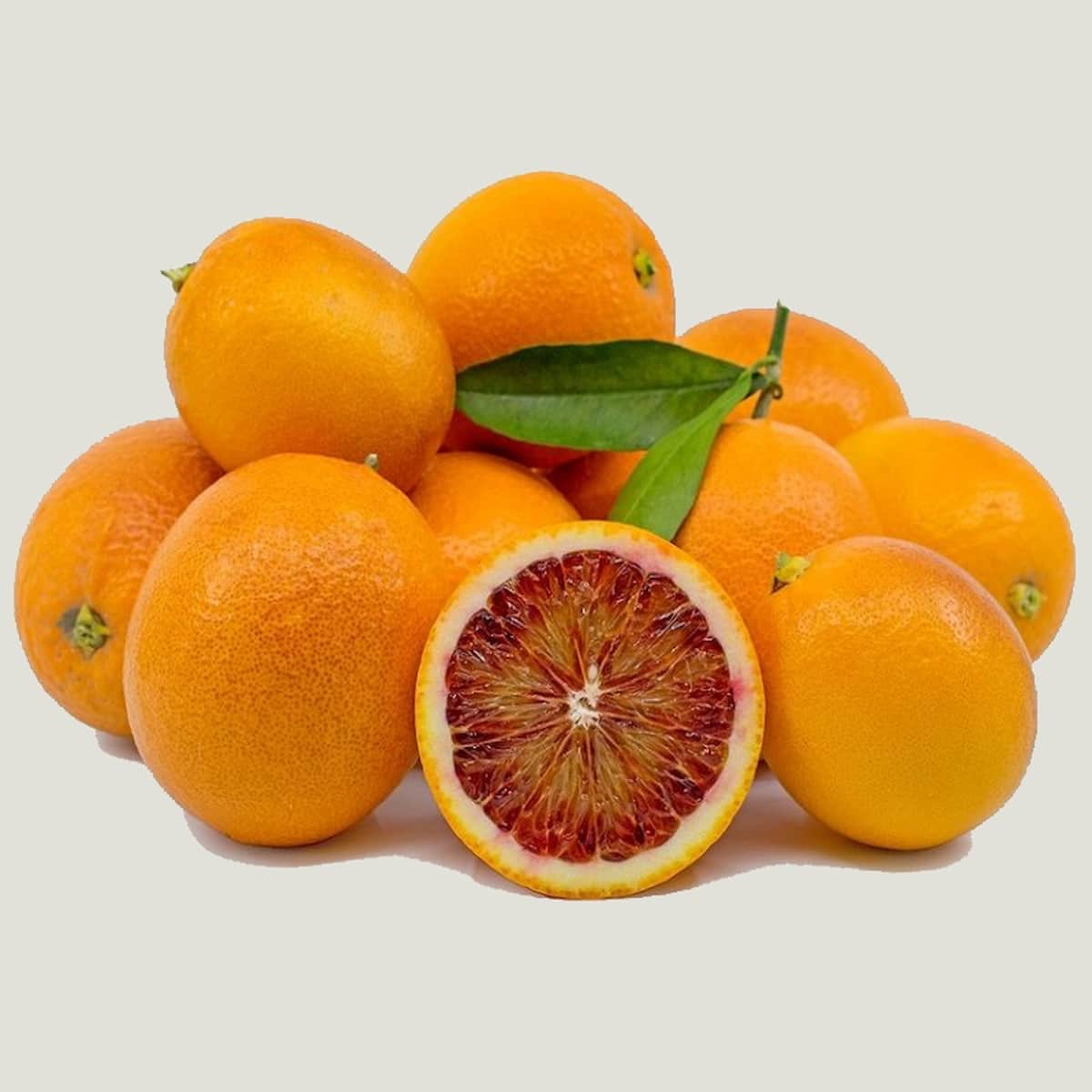 پرتقال تامسون شمال