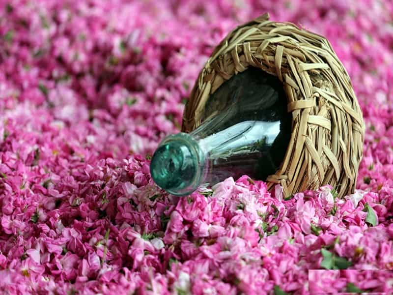 گلاب سنتی قمصر