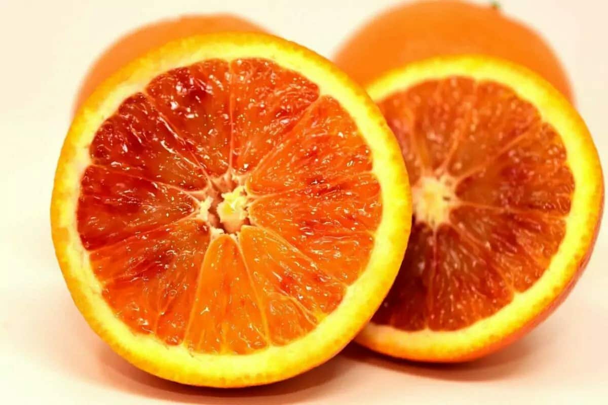 پرتقال تو سرخ شمال