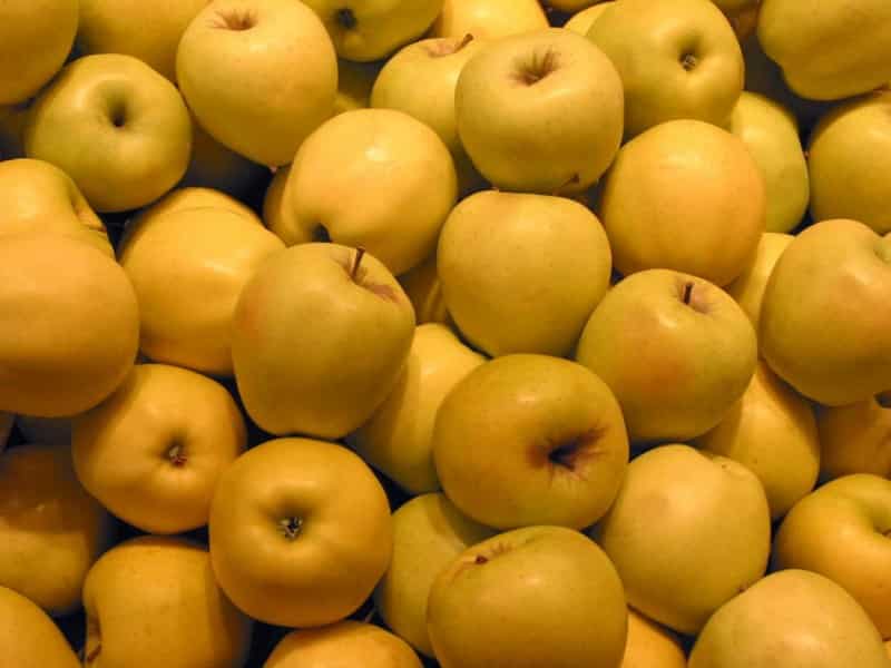 سیب زرد دماوند