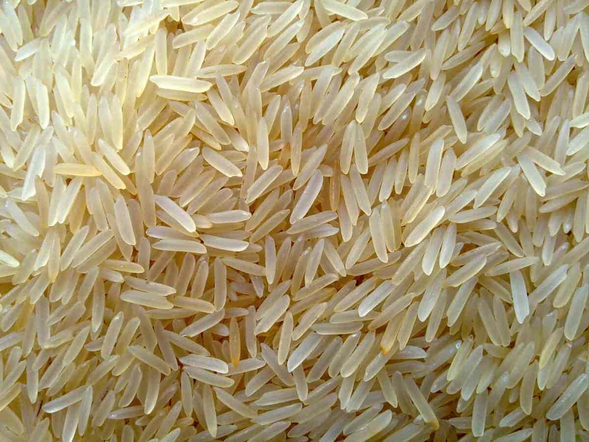 برنج ایرانی هاشمی 