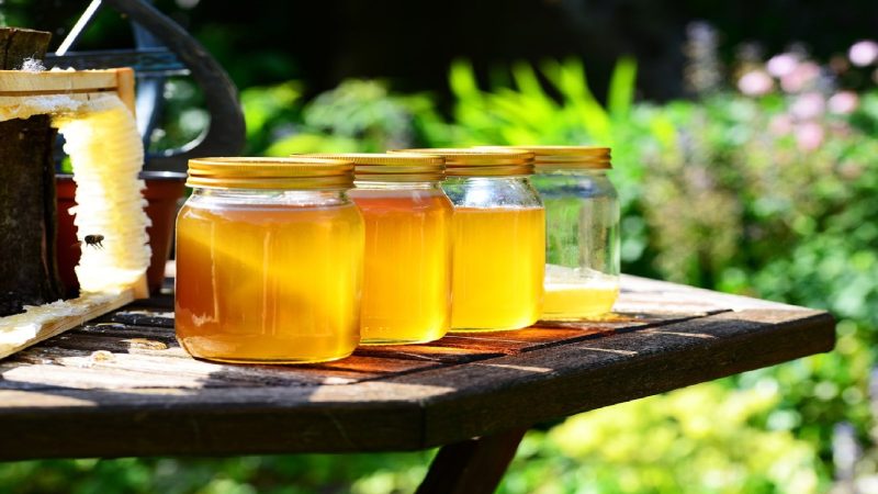 عسل طبیعی جنگلی