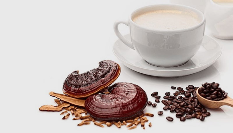 قهوه گانودرما برای دیابت