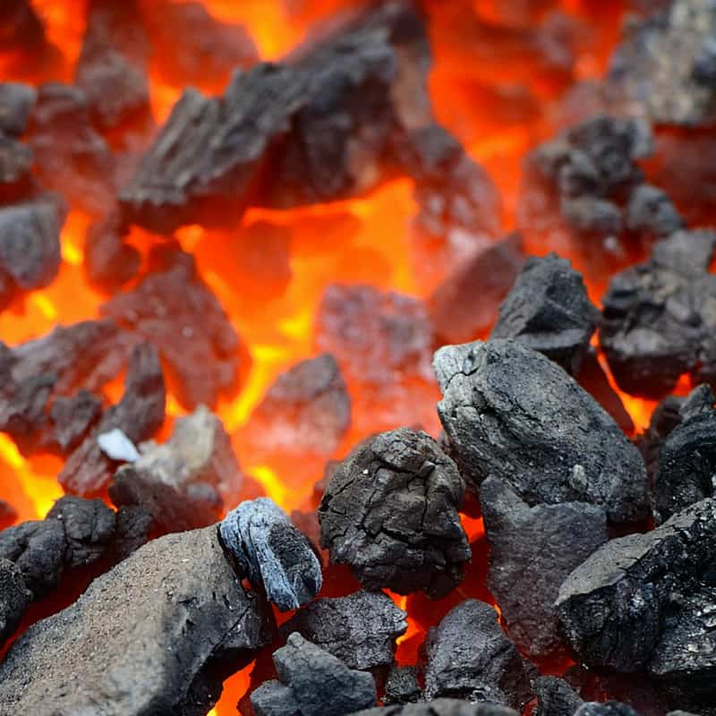 زغال بلوط چیست