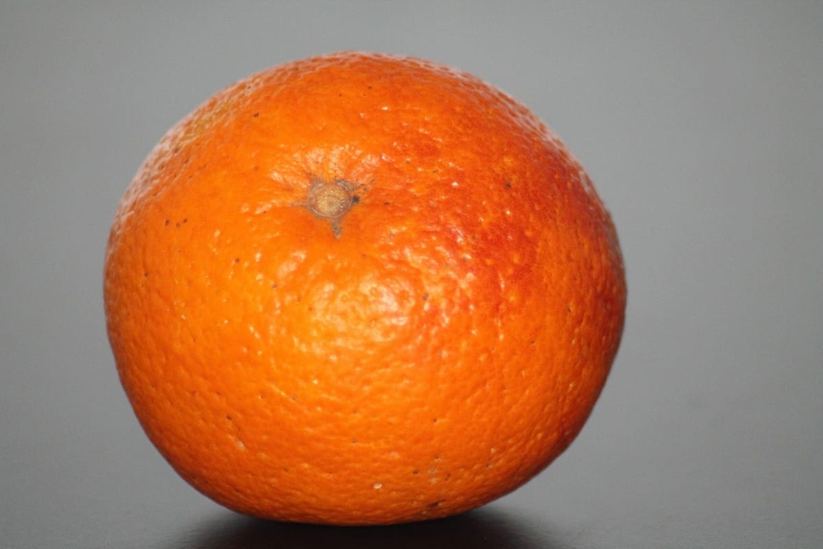 پرتقال کوچک