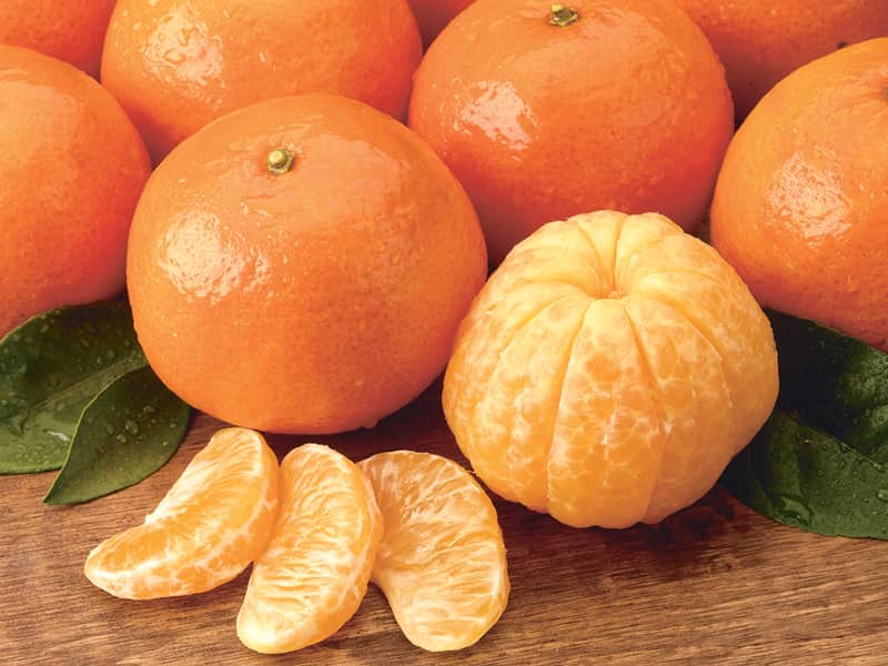 نارنگی پاکوتاه