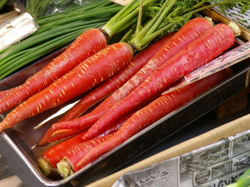 هویج قرمز رنگ