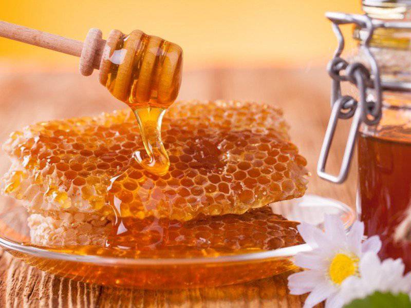 عسل وحشی ایران