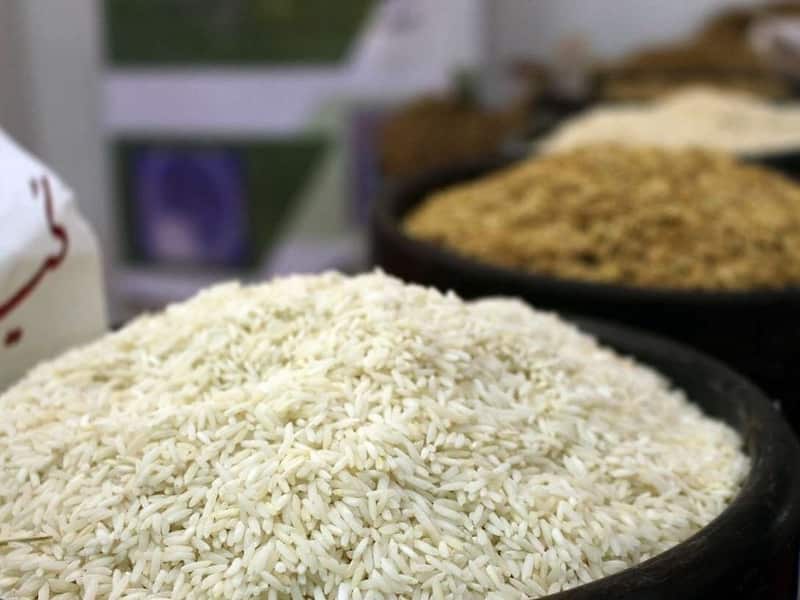 برنج عنبربو امروز