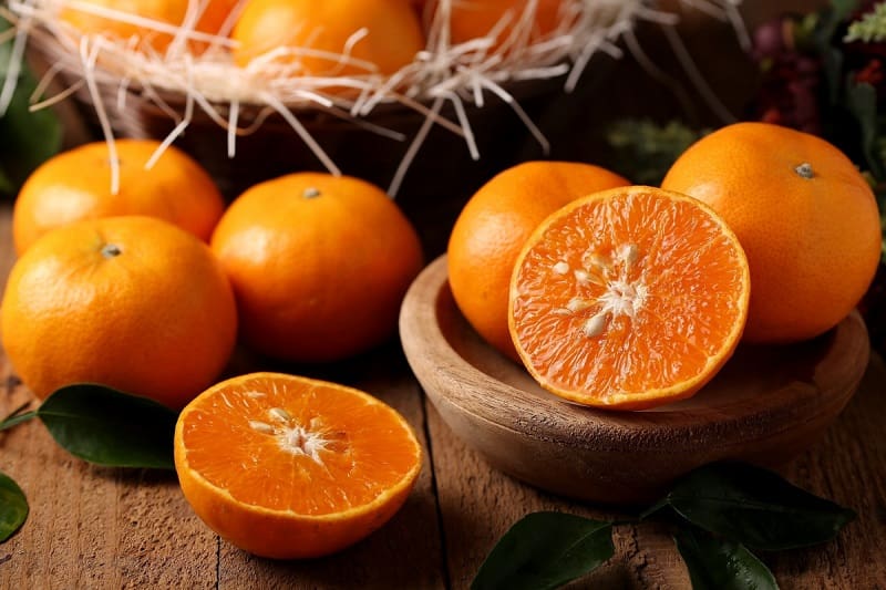 پرتقال تامسون مازندران