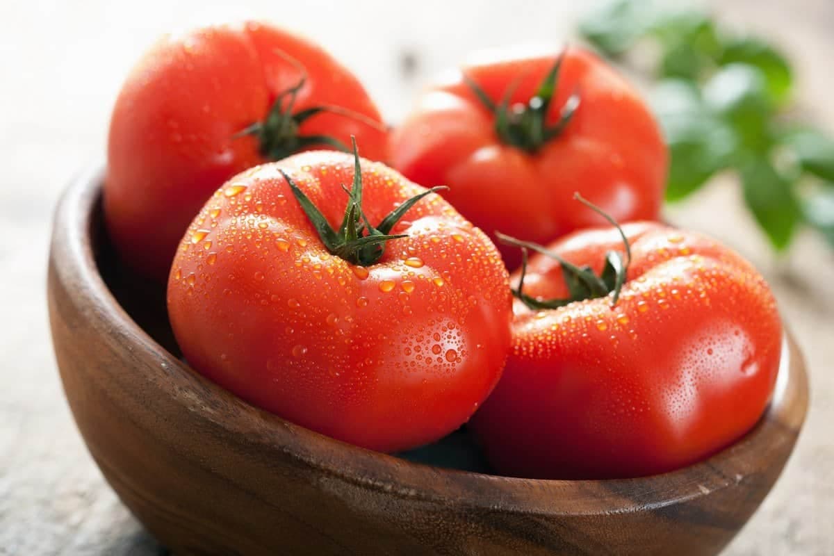 گوجه فرنگی قزوین