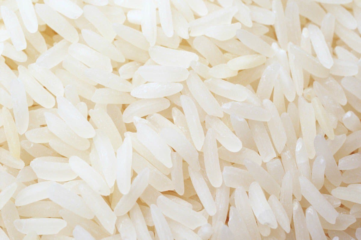  برنج فجر سوزنی
