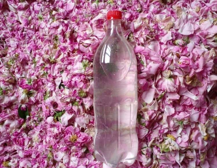 بطری پلاستیکی یک لیتری