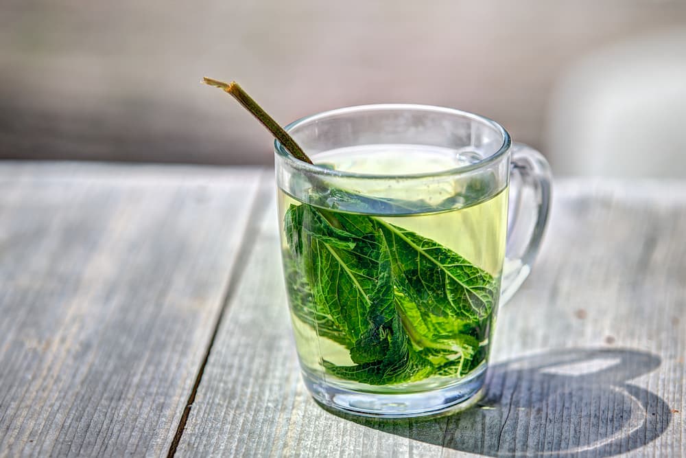 چای سبز برای کبد چرب