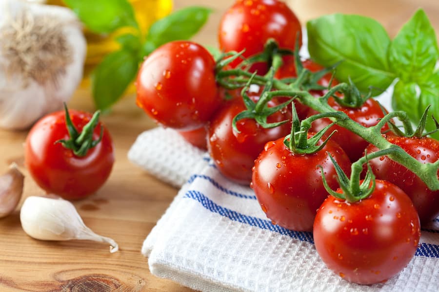 گوجه فرنگی ارگانیک