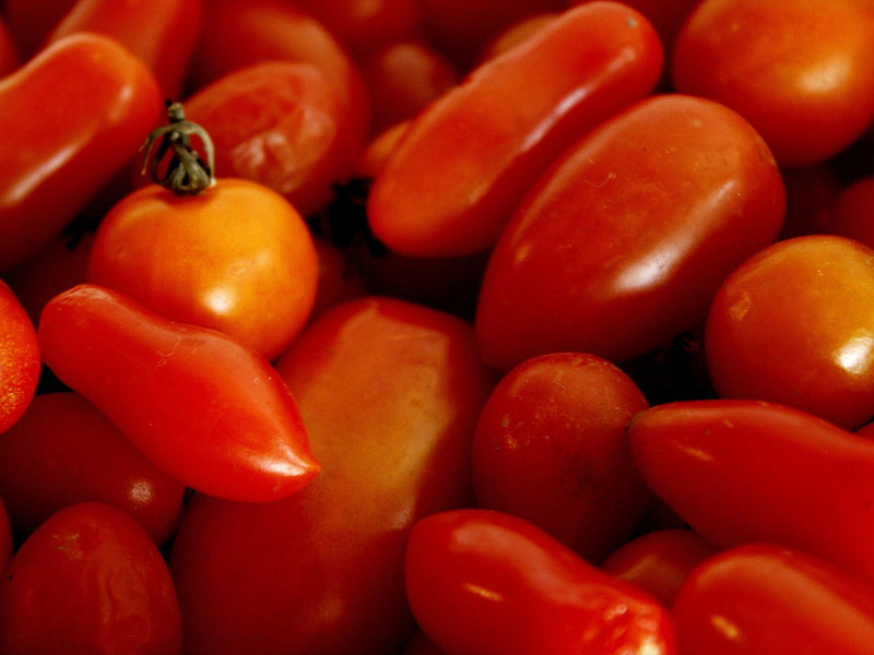 قیمت گوجه فرنگی در بازار مشهد