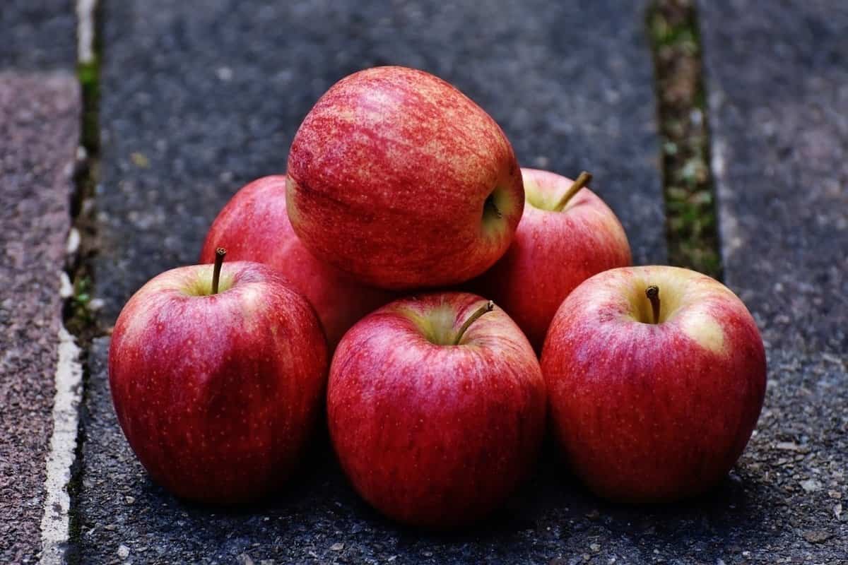 سیب قرمز لبنانی