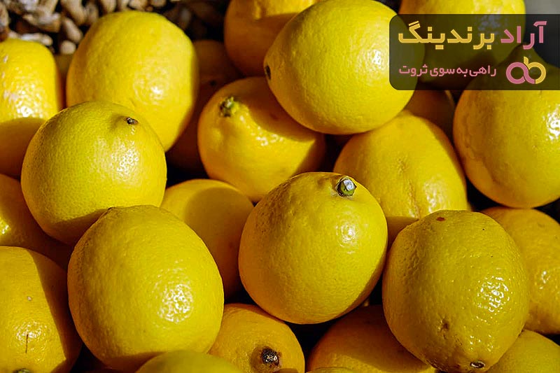 Sweet Lemon Tree Price