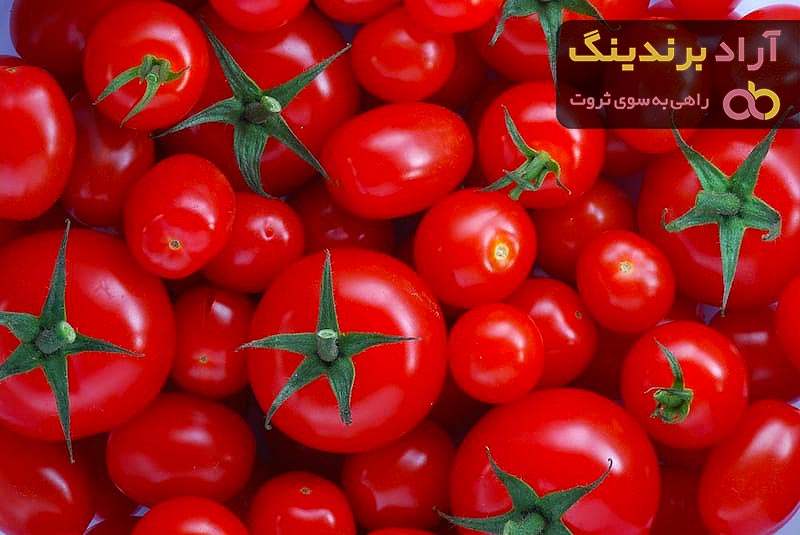 قیمت گوجه ربی اصفهان