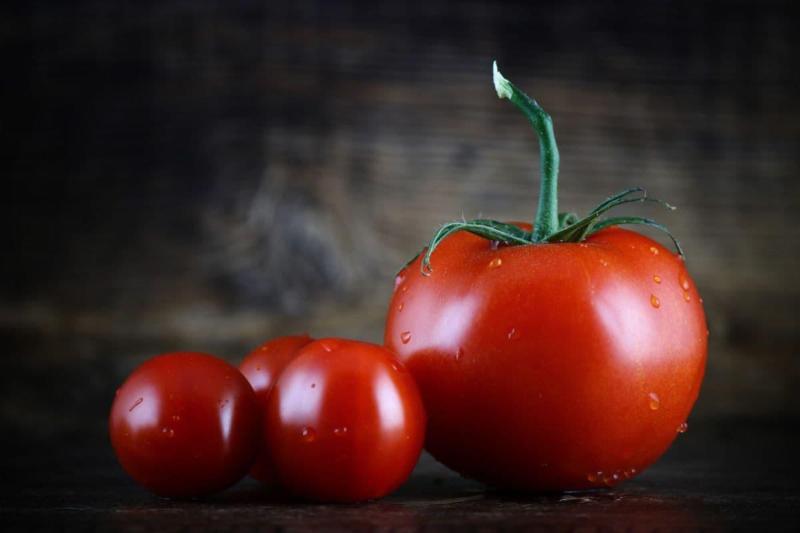 گوجه فرنگی در ایران