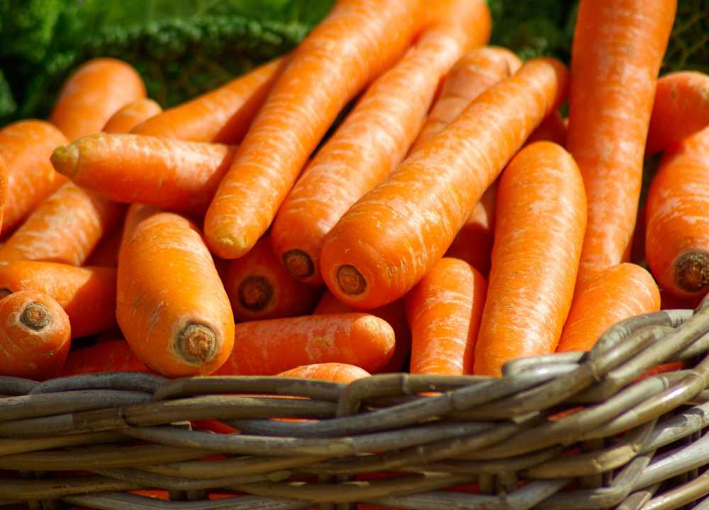 هویج فرنگی چیست