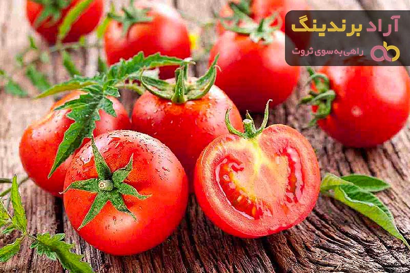 گوجه فرنگی صادرات