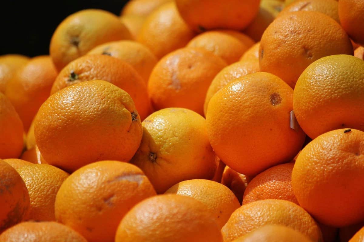 پرتقال صادراتی جیرفت