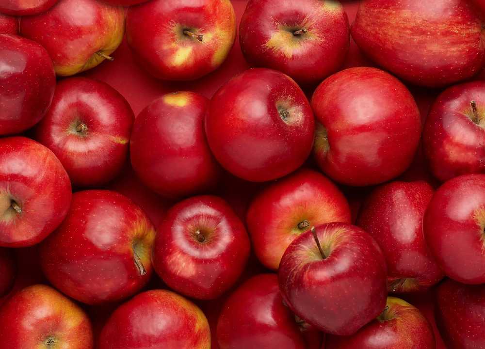 سیب صادرات