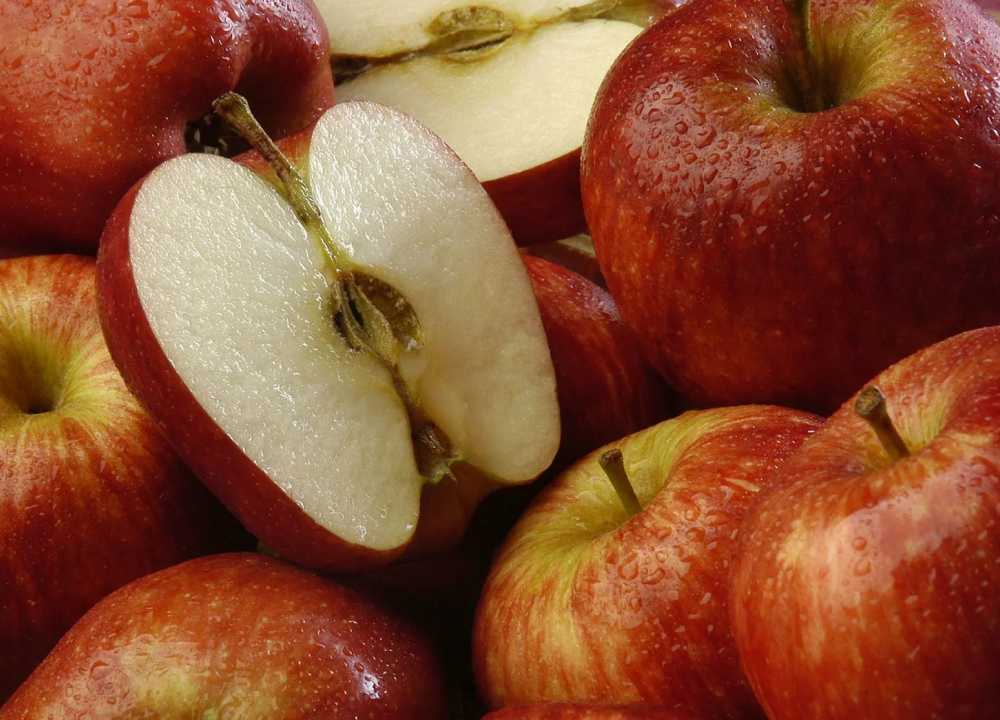 سیب صادراتی