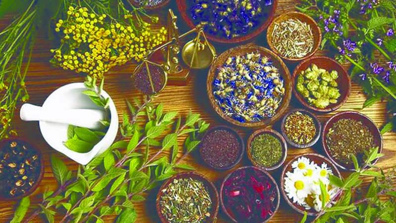 گیاهان دارویی سیستان و بلوچستان