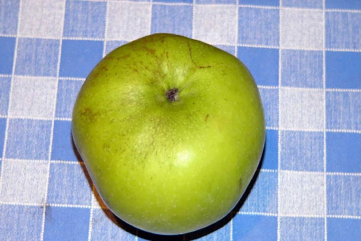 سیب سبز فرانسوی