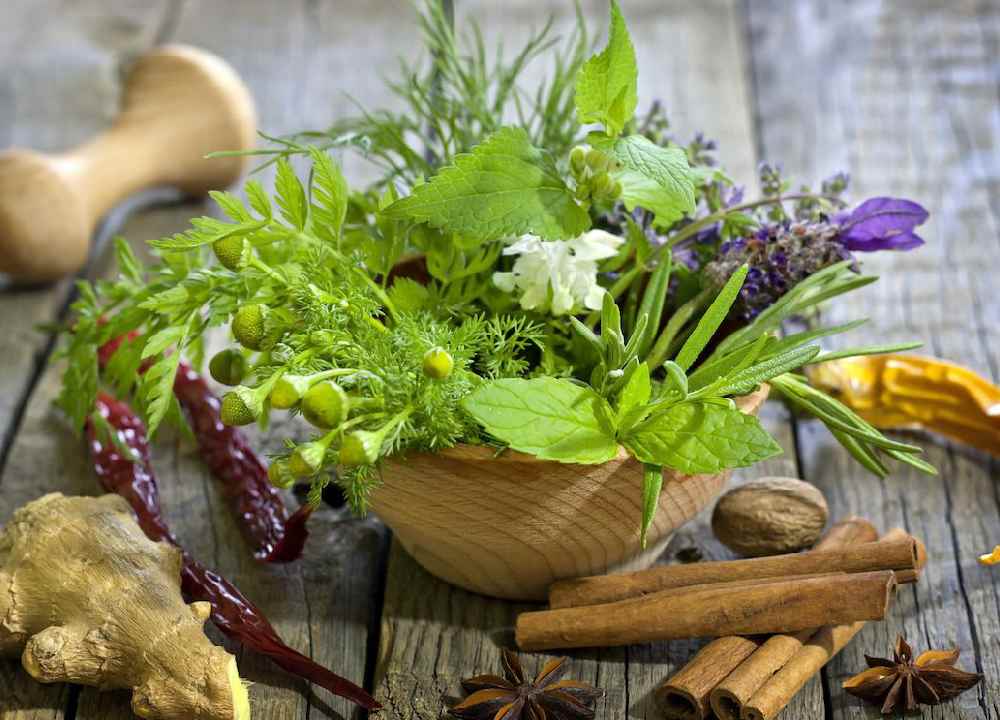 گیاه داروی ضد سرطان