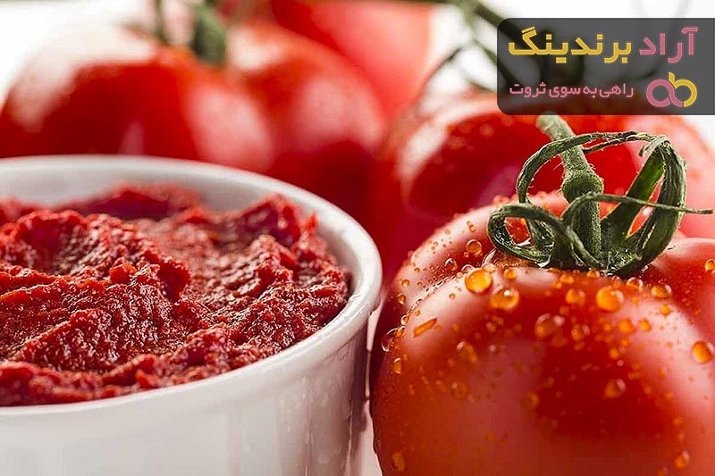 tomato paste uses