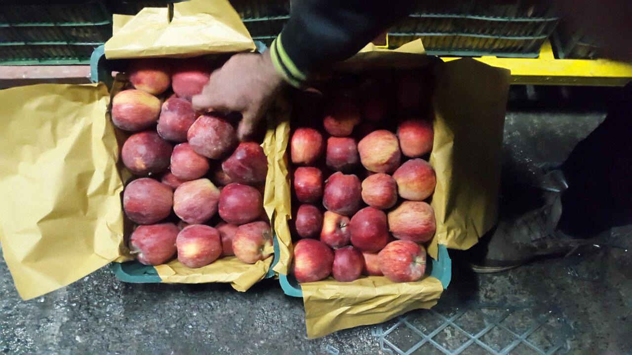 خرید و فروش سیب صادراتی