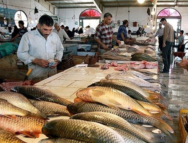 ضایعات ماهی چیست؟ + قیمت خرید ضایعات ماهی