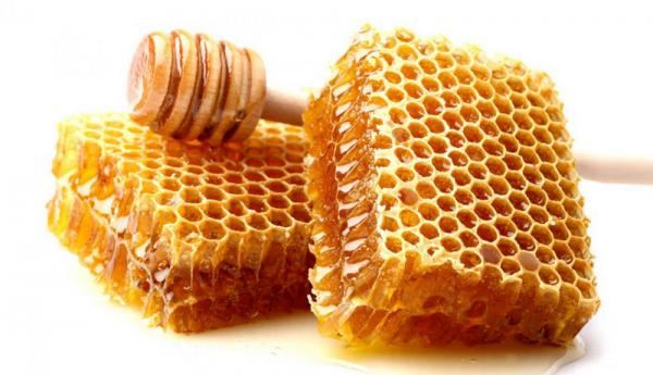 معرفی صادرات عسل به عراق + بهترین قیمت خرید