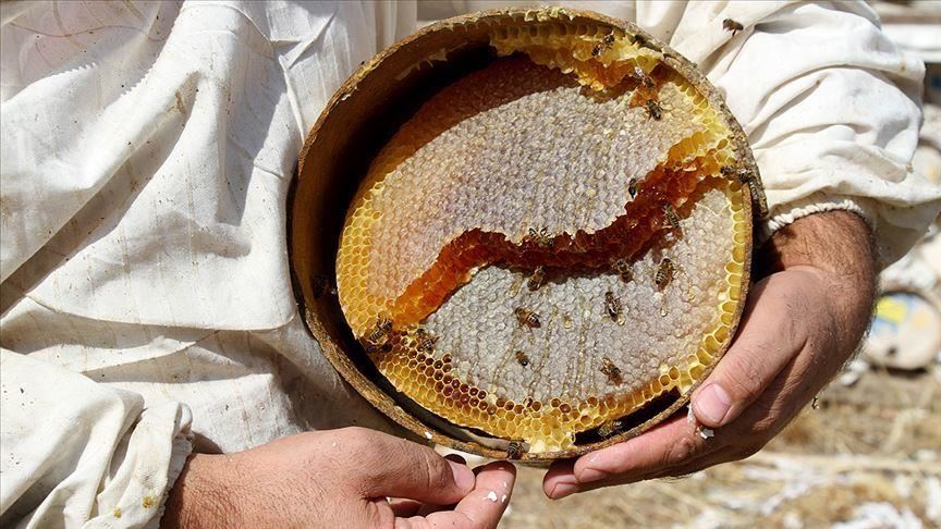 خرید و قیمت عسل طبیعی ایران عمده
