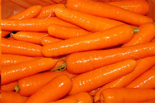 خرید باکیفیت ترین انواع هویج با قیمت ارزان