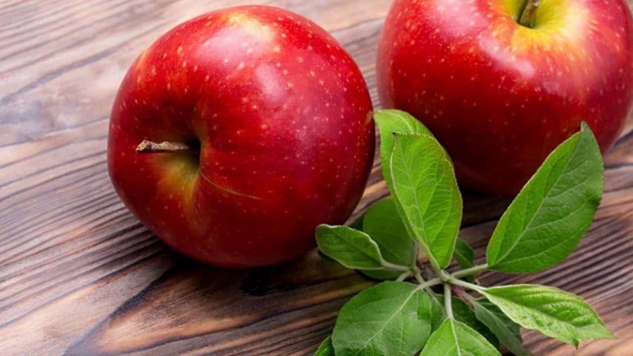 خرید و قیمت روز سیب قرمز در بارداری