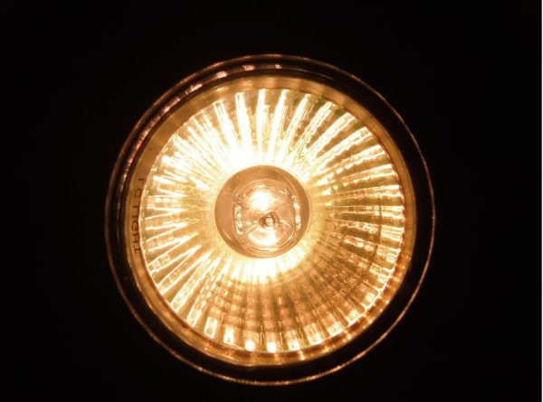 خرید انواع لامپ هالوژن سقفی + قیمت