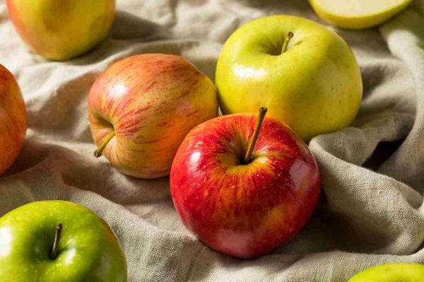 بهترین سیب درختی صادراتی ایران + قیمت خرید عالی