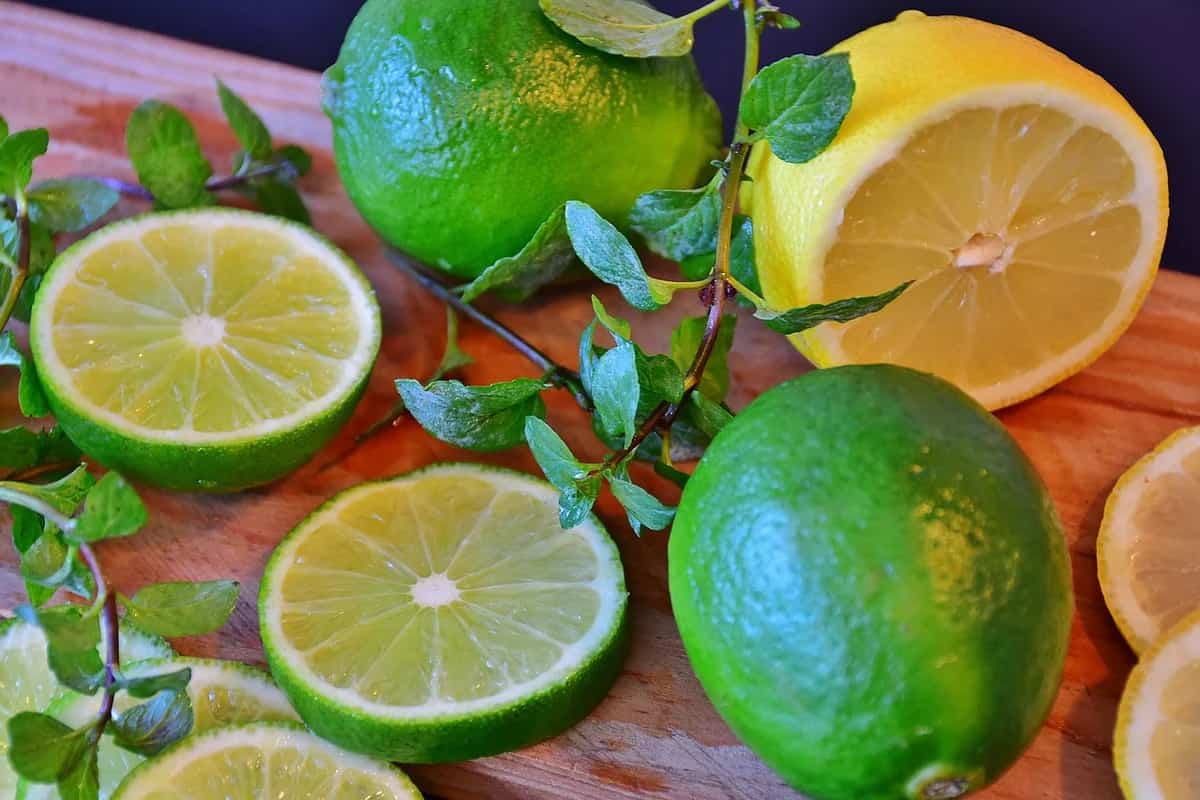 قیمت خرید لیمو ترش ریز + خواص، معایب و مزایا