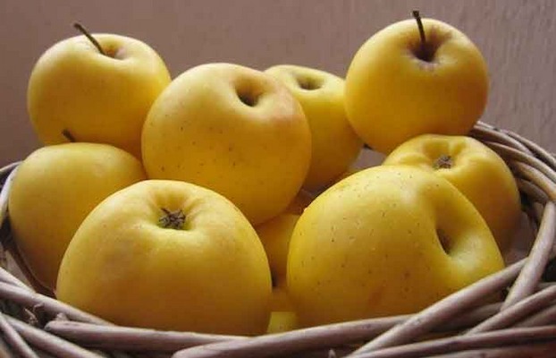 سیب زرد برای لاغری + قیمت خرید، کاربرد، مصارف و خواص