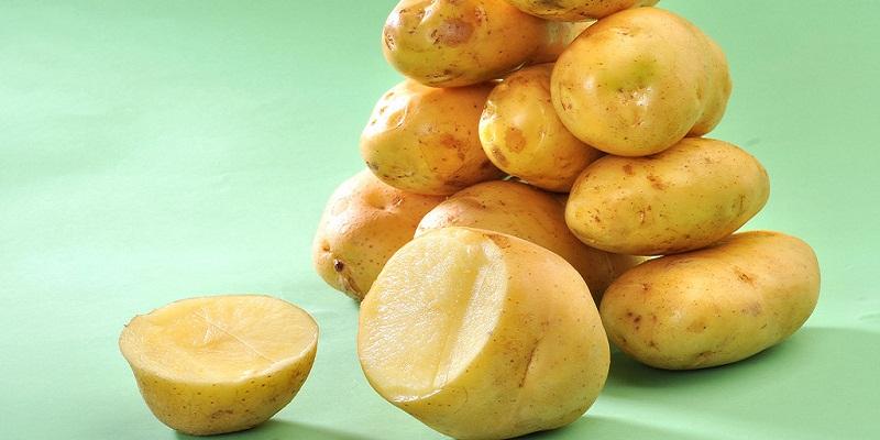 قیمت خرید سیب زمینی اعلا + فروش در تجارت و صادرات