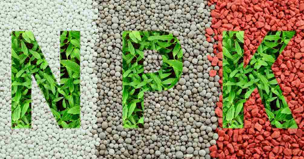 خرید کود شیمیایی کامل ماکرو  با قیمت استثنایی